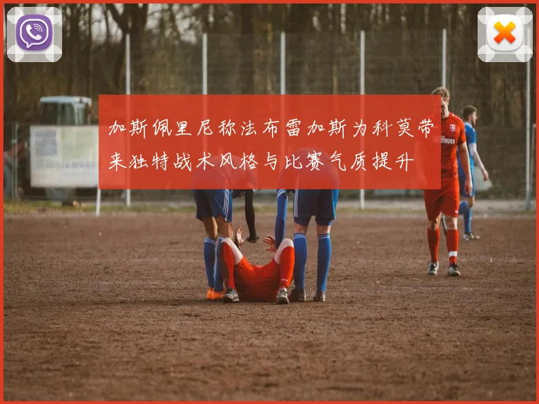 加斯佩里尼称法布雷加斯为科莫带来独特战术风格与比赛气质提升